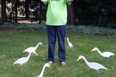 Birds-I-View-1