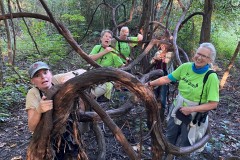 Hidden-dangers-of-birding