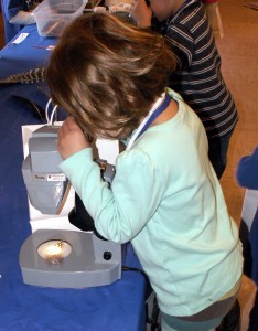 Checking out feathers under a microscope.