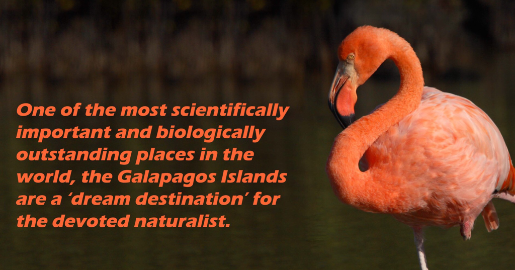 Galapogos